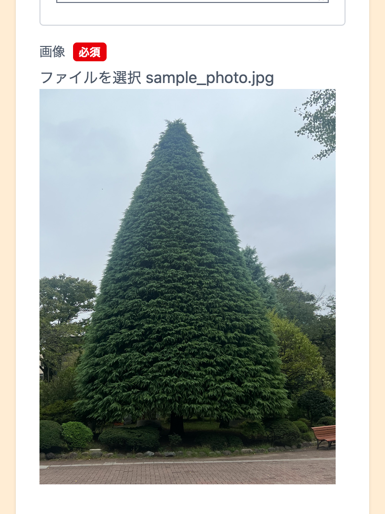 選んだヒマラヤスギの写真のプレビューが表示されている